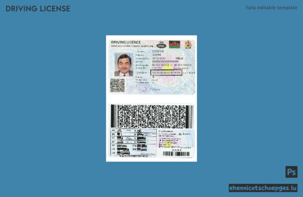 Beispielansicht eines malawischen Führerscheins